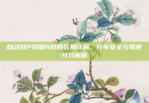 自动挡P档和N档的区别详解,行车安全与驾驶技巧解析