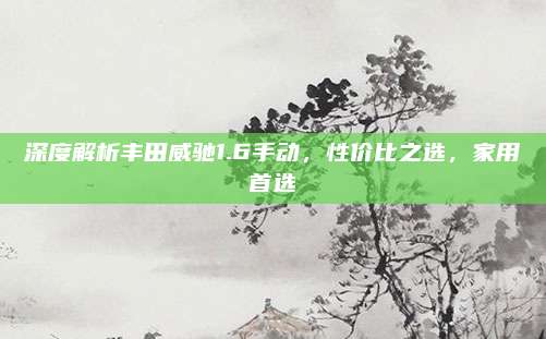 深度解析丰田威驰1.6手动,性价比之选,家用首选