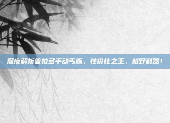 深度解析普拉多手动丐版,性价比之王,越野利器!