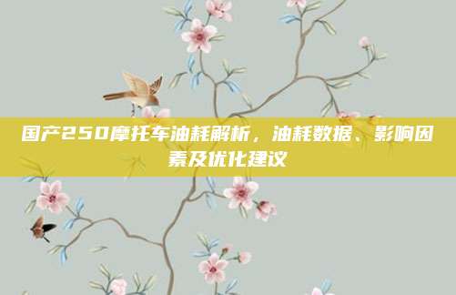 国产250摩托车油耗解析,油耗数据、影响因素及优化建议
