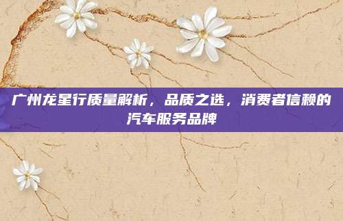 广州龙星行质量解析,品质之选,消费者信赖的汽车服务品牌