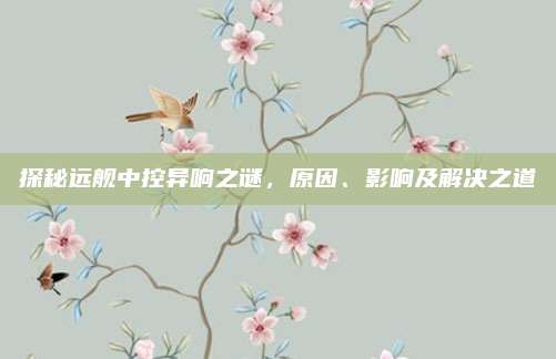 探秘远舰中控异响之谜,原因、影响及解决之道