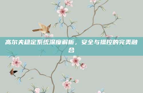 高尔夫稳定系统深度解析,安全与操控的完美融合