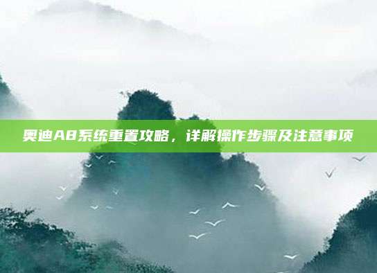 奥迪A8系统重置攻略,详解操作步骤及注意事项