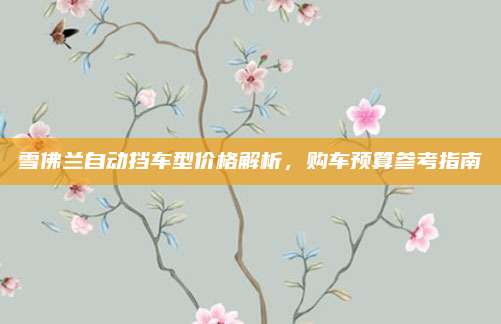 雪佛兰自动挡车型价格解析，购车预算参考指南
