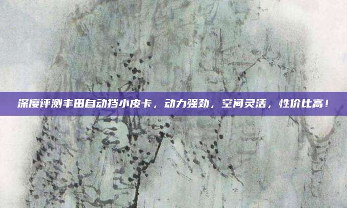 深度评测丰田自动挡小皮卡,动力强劲,空间灵活,性价比高!