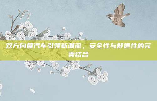 双方向盘汽车引领新潮流,安全性与舒适性的完美结合