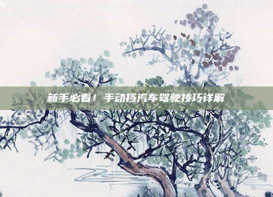 新手必看！手动挡汽车驾驶技巧详解