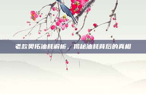 老款奥拓油耗解析，揭秘油耗背后的真相