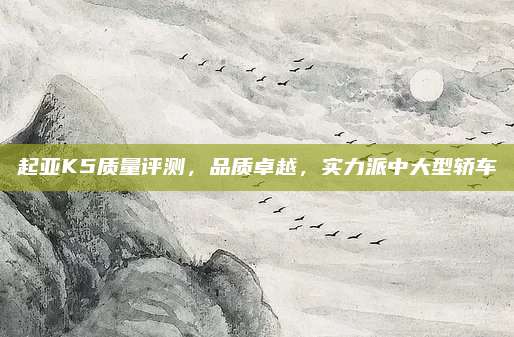 起亚K5质量评测，品质卓越，实力派中大型轿车