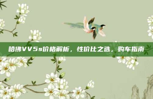 哈佛VV5s价格解析，性价比之选，购车指南