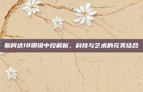 斯柯达18明锐中控解析，科技与艺术的完美结合