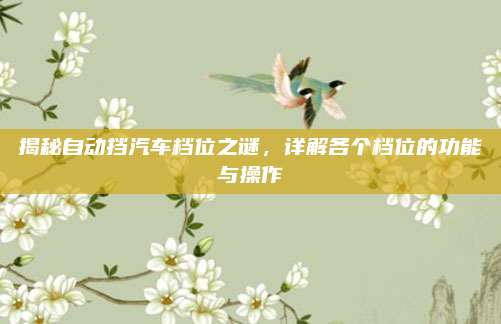 揭秘自动挡汽车档位之谜，详解各个档位的功能与操作