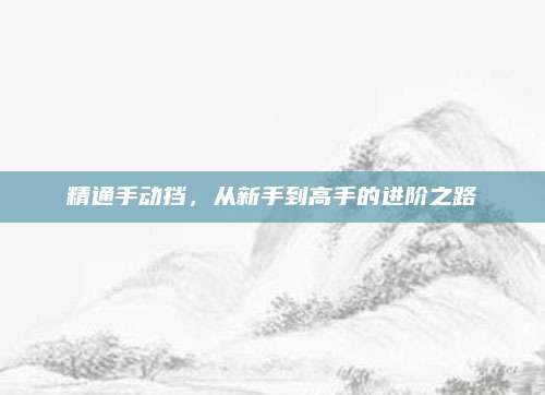 精通手动挡，从新手到高手的进阶之路