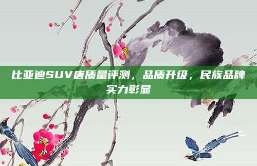 比亚迪SUV唐质量评测,品质升级,民族品牌实力彰显