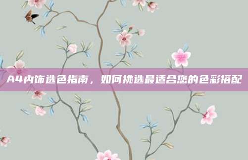 A4内饰选色指南，如何挑选最适合您的色彩搭配