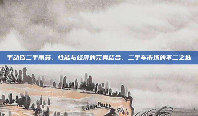 手动挡二手雨燕，性能与经济的完美结合，二手车市场的不二之选