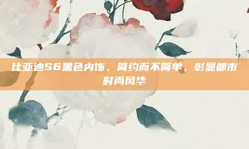 比亚迪S6黑色内饰，简约而不简单，彰显都市时尚风华
