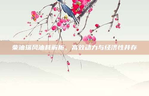 柴油瑞风油耗解析，高效动力与经济性并存