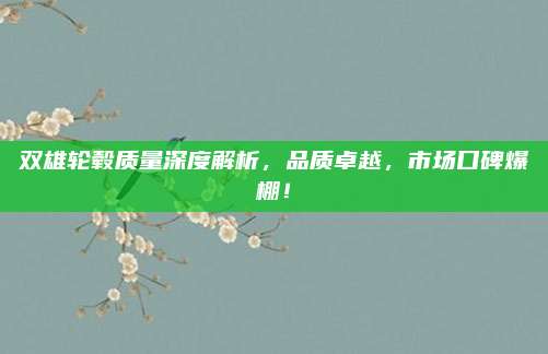 双雄轮毂质量深度解析，品质卓越，市场口碑爆棚！