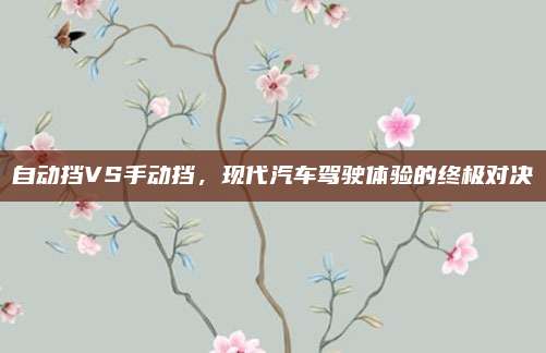 自动挡VS手动挡，现代汽车驾驶体验的终极对决