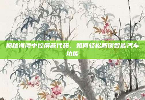 揭秘海湾中控屏蔽代码，如何轻松解锁智能汽车功能