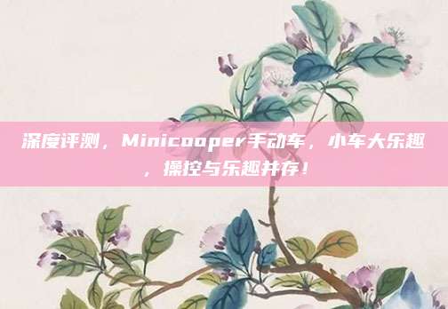 深度评测，Minicooper手动车，小车大乐趣，操控与乐趣并存！
