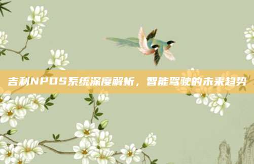 吉利NPDS系统深度解析,智能驾驶的未来趋势