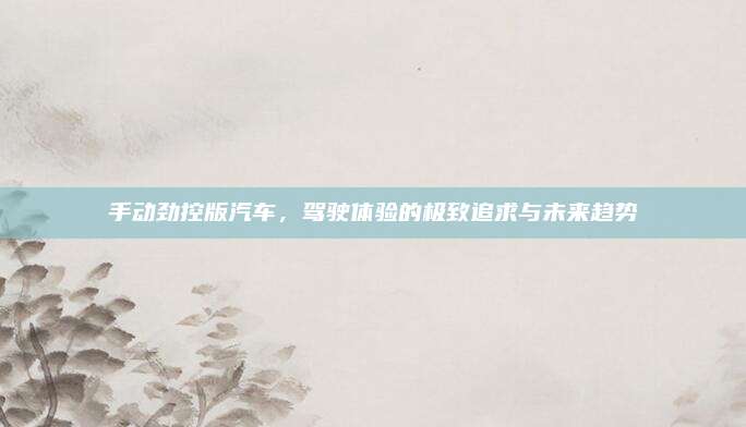 手动劲控版汽车,驾驶体验的极致追求与未来趋势