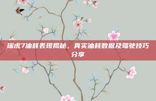 瑞虎7油耗表现揭秘，真实油耗数据及驾驶技巧分享