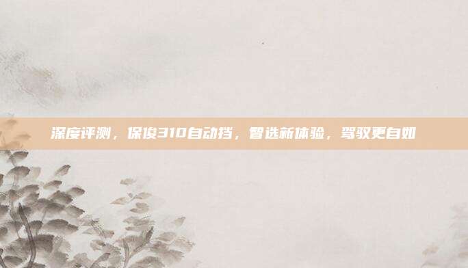 深度评测,保俊310自动挡,智选新体验,驾驭更自如