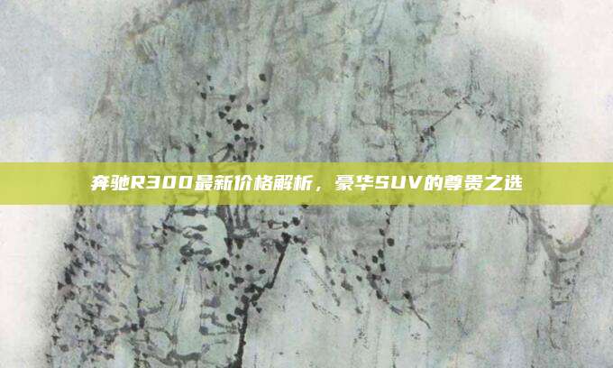 奔驰R300最新价格解析,豪华SUV的尊贵之选
