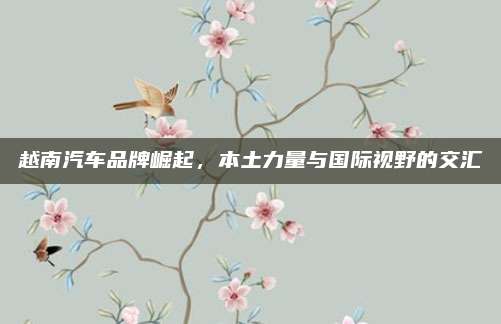 越南汽车品牌崛起,本土力量与国际视野的交汇