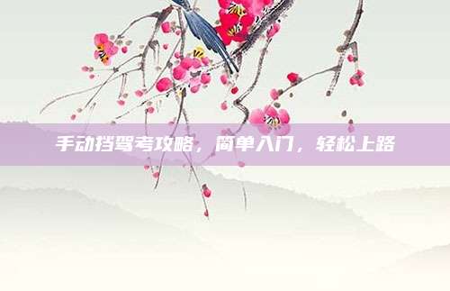 手动挡驾考攻略,简单入门,轻松上路