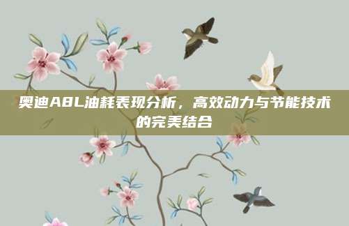 奥迪A8L油耗表现分析,高效动力与节能技术的完美结合