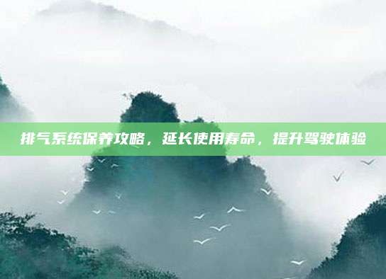 排气系统保养攻略,延长使用寿命,提升驾驶体验