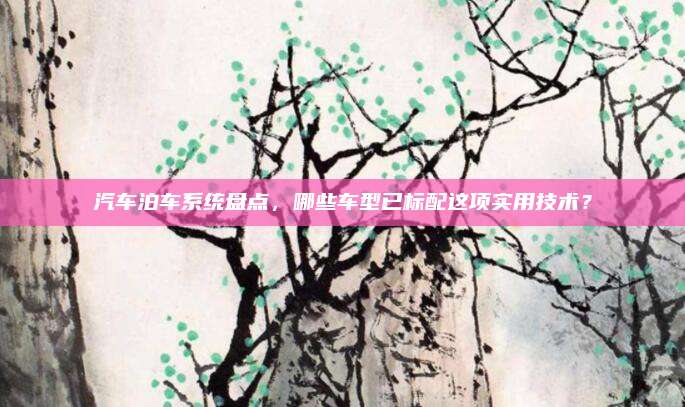 汽车泊车系统盘点,哪些车型已标配这项实用技术?