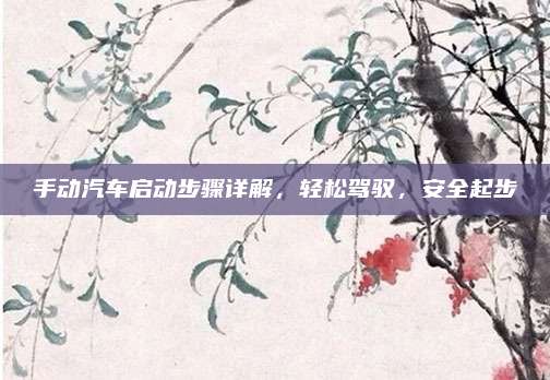手动汽车启动步骤详解,轻松驾驭,安全起步