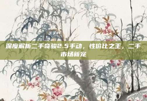 深度解析二手奇骏2.5手动，性价比之王，二手市场新宠