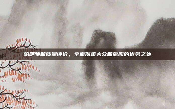 帕萨特新质量评价,全面剖析大众新旗舰的优劣之处