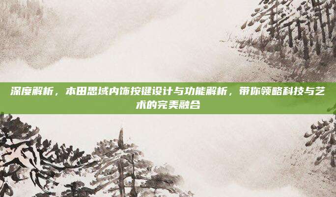 深度解析,本田思域内饰按键设计与功能解析,带你领略科技与艺术的完美融合