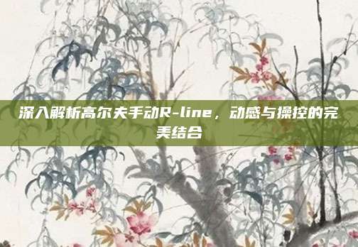 深入解析高尔夫手动R-line,动感与操控的完美结合