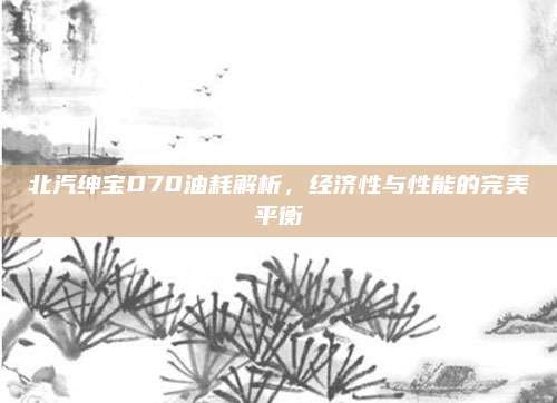 北汽绅宝D70油耗解析,经济性与性能的完美平衡