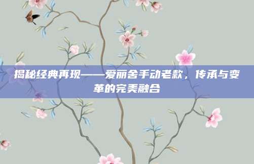 揭秘经典再现——爱丽舍手动老款,传承与变革的完美融合