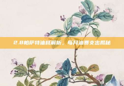 2.8帕萨特油耗解析,每月油费支出揭秘