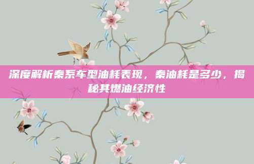 深度解析秦系车型油耗表现,秦油耗是多少,揭秘其燃油经济性