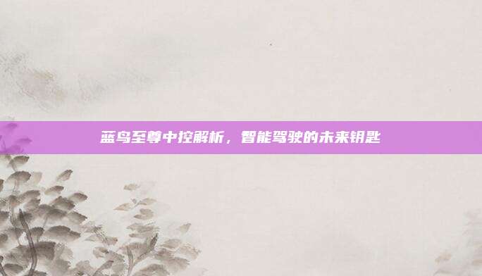 蓝鸟至尊中控解析，智能驾驶的未来钥匙