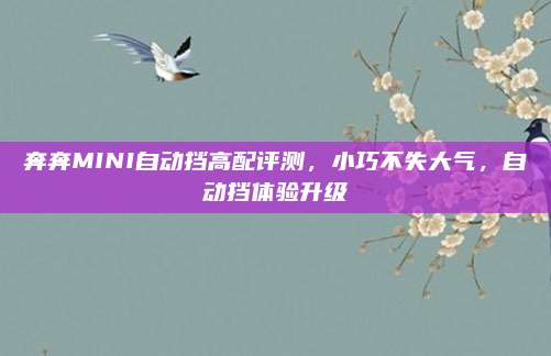 奔奔MINI自动挡高配评测,小巧不失大气,自动挡体验升级
