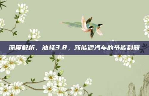 深度解析,油耗3.8,新能源汽车的节能利器