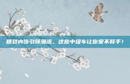 精致内饰引领潮流,这些中级车让你爱不释手!